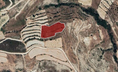For sale, land, field, Limassol, Pachna, 5,352m&sup2;, &euro;12,000 