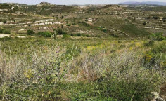 For sale, land, field, Limassol, Pachna, 5,352m&sup2;, &euro;12,000 