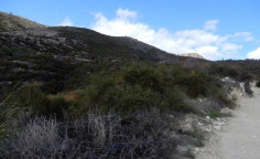 For sale, land, Limassol, Limnatis, 26,757m&sup2;, &euro;40,000 