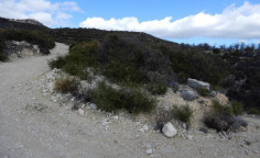For sale, land, Limassol, Limnatis, 26,757m&sup2;, &euro;40,000 