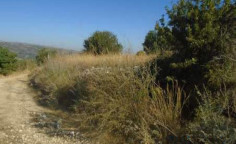For sale, land, Paphos, Giolou, 8,938m&sup2;, &euro;27,000 