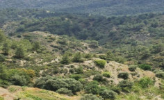 For sale, land, Limassol, sykopetra, 6,689m&sup2;, &euro;2,000 