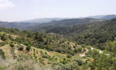 For sale, land, Limassol, sykopetra, 6,689m&sup2;, &euro;2,000 