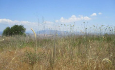 For sale, land, Paphos, theletra, 5,352m&sup2;, &euro;58,000 , Paphos