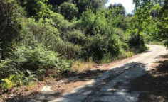 For sale, land, Nicosia, Kakopetria, 10,703m&sup2;, &euro;210,000 , Nicosia