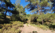 For sale, land, Limassol, Pera Pedi, 16,389m², €60,000 For sale, land, Limassol, Pera Pedi, 16,389m², €60,000