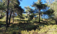 For sale, land, Limassol, Pera Pedi, 16,389m², €60,000 For sale, land, Limassol, Pera Pedi, 16,389m², €60,000