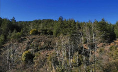 For sale, land, Limassol, kaminaria, 5,352m&sup2;, &euro;3,000 