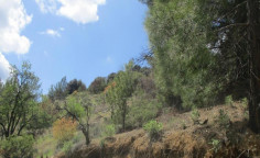 For sale, land, Limassol, kaminaria, 3,679m&sup2;, &euro;3,000 