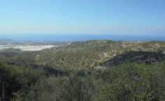 For sale, land, field, Limassol, Asgata, 10,368m&sup2;, &euro;35,000 