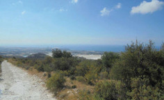 For sale, land, field, Limassol, Asgata, 9,031m&sup2;, &euro;30,000 