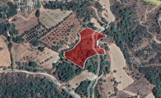 For sale, land, field, Paphos, Lysos, 9,365m&sup2;, &euro;25,000 