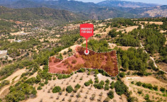 For sale, land, field, Paphos, Lysos, 9,365m&sup2;, &euro;25,000 