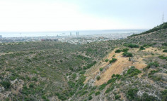 For sale, land, field, Limassol, Agios Athanasios, 39,800m&sup2;, &euro;318,000 