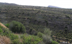 For sale, land, field, Limassol, Agios Athanasios, 39,800m&sup2;, &euro;318,000 