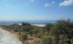 For sale, land, field, Limassol, Asgata, 11,037m&sup2;, &euro;35,000 