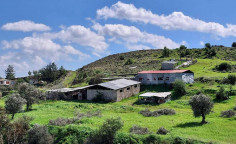 For sale, land, Nicosia, Analiontas, 25,084m&sup2;, &euro;138,000 