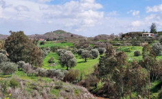 For sale, land, Nicosia, Analiontas, 25,084m&sup2;, &euro;138,000 