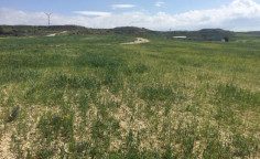 For sale, land, field, Nicosia, Geri, 7,321m&sup2;, &euro;12,000 