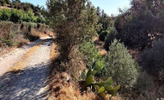 For sale, land, field, Limassol, Fasoula, 2,007m&sup2;, &euro;34,000 , Limassol