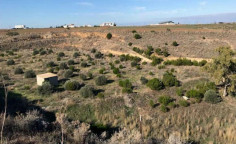 For sale, land, Nicosia, Tseri, 3,605m&sup2;, &euro;65,000 , Nicosia