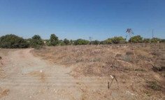 For sale, land, Larnaca, Mazotos, 62,877m&sup2;, &euro;27,000 