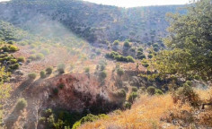 For sale, land, Paphos, Nata, 17,392m&sup2;, &euro;25,000 