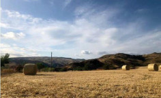 For sale, land, Paphos, Agia Varvara, 39,598m&sup2;, &euro;525,000 , Nicosia