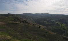 For sale, land, Paphos, Kelokedara, 1,673m&sup2;, &euro;1,000 