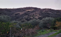 For sale, land, Limassol, Pissouri, 50,837m&sup2;, &euro;55,000 