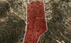 For sale, land, field, Limassol, Fasoula, 16,723m&sup2;, &euro;60,000 