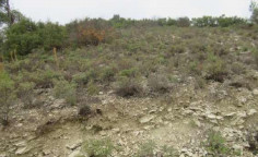 For sale, land, Paphos, arminou, 4,181m&sup2;, &euro;4,000 