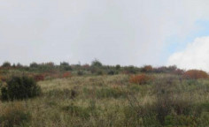 For sale, land, Paphos, arminou, 3,345m², €4,000 For sale, land, Paphos, arminou, 3,345m², €4,000