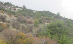 For sale, land, Paphos, arminou, 3,679m², €4,000 For sale, land, Paphos, arminou, 3,679m², €4,000