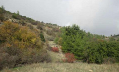 For sale, land, Paphos, arminou, 3,679m&sup2;, &euro;4,000 