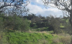 For sale, land, Nicosia, pigenia, 2,800m&sup2;, &euro;56,000 , Nicosia