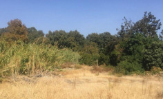 For sale, land, Nicosia, pigenia, 558m&sup2;, &euro;14,000 , Nicosia