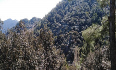 For sale, land, Nicosia, saranti, 10,108m&sup2;, &euro;15,000 