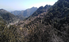 For sale, land, Nicosia, saranti, 10,108m&sup2;, &euro;15,000 