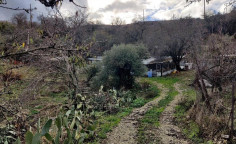 For sale, land, Limassol, Silikou, 4,683m&sup2;, &euro;80,000 , Limassol