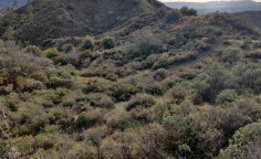 For sale, land, Limassol, Pelendri, 29,098m&sup2;, &euro;17,000 