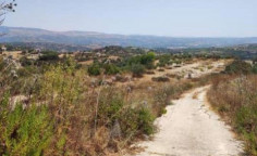 For sale, land, Paphos, Polemi, 6,782m², €47,000 For sale, land, Paphos, Polemi, 6,782m², €47,000