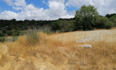 For sale, land, Paphos, Polemi, 5,742m², €26,000 For sale, land, Paphos, Polemi, 5,742m², €26,000