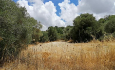 For sale, land, Paphos, Polemi, 5,742m&sup2;, &euro;26,000 