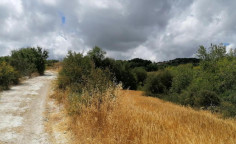 For sale, land, Paphos, Polemi, 7,247m&sup2;, &euro;29,000 