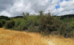 For sale, land, Paphos, Polemi, 7,247m², €29,000 For sale, land, Paphos, Polemi, 7,247m², €29,000