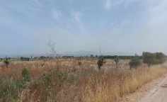 For sale, land, field, Nicosia, Peristerona, 2,342m&sup2;, &euro;25,000 