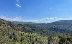For sale, land, Paphos, pelathousa, 45,820m&sup2;, &euro;16,000 