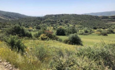 For sale, land, Larnaca, ora, 18,395m&sup2;, &euro;37,000 