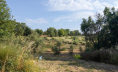 For sale, land, Paphos, Giolou, 7,024m&sup2;, &euro;90,000 , Paphos